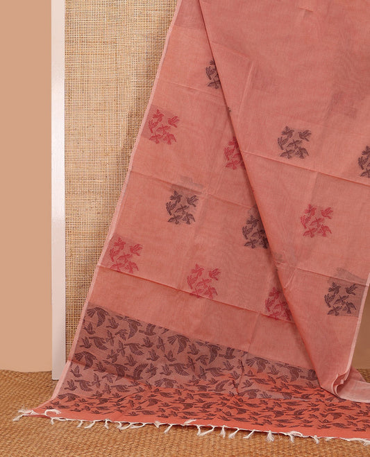 Borderless peach bird buttas Coimbatore cotton saree, pallu steeped with bird motifs