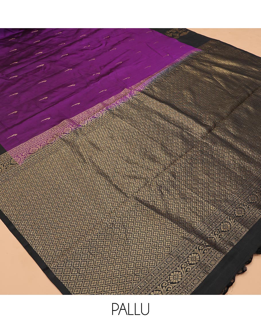 Vadamalli Buttas Vasundhara Lite Silk Mix Saree, a Contrast Zari Border, and a Contrast Blouse