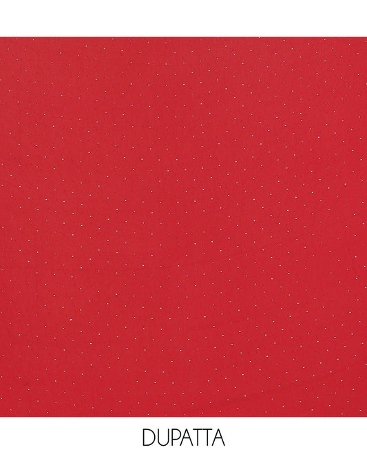 Red Material Churidar Set, Swarovski Stone Work Fox Georgette Top, Comes with a Plain Santoon Bottom, and a Scallop Swarovski Stone Work Fox Georgette Dupatta