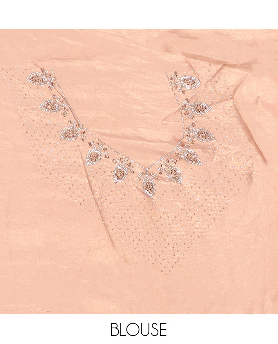 Champagne Designer Saree Gleamed up with Stone Work On Its Body, Scallop Embroidered Border, and Paired with a Heavy Embroidered Matching Blouse