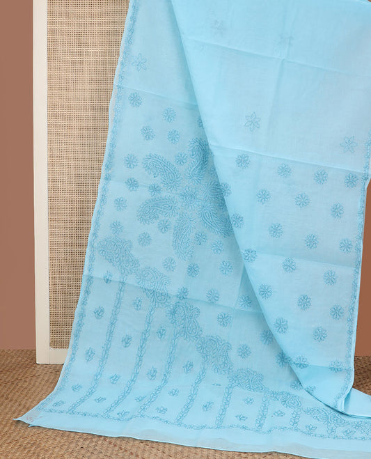 Baby blue flower butta thread embroidered Lucknowi chikankari saree, flower border, & floral-paisley embroidered pallu