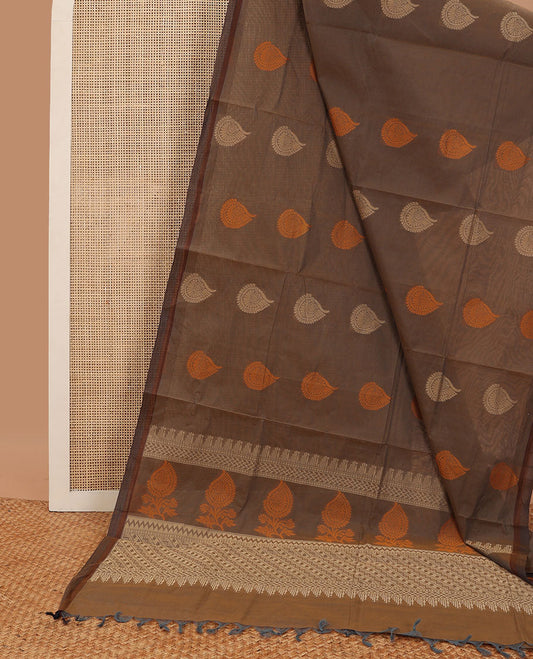 Brown leaf motifs coimbatore cotton saree with self border & floral design pallu