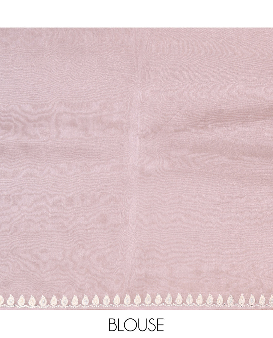 Baby Pink Designer Saree, Mesmerized with Floral Vine Embroidery, Scallop Border, and Matching Embroidered Blouse