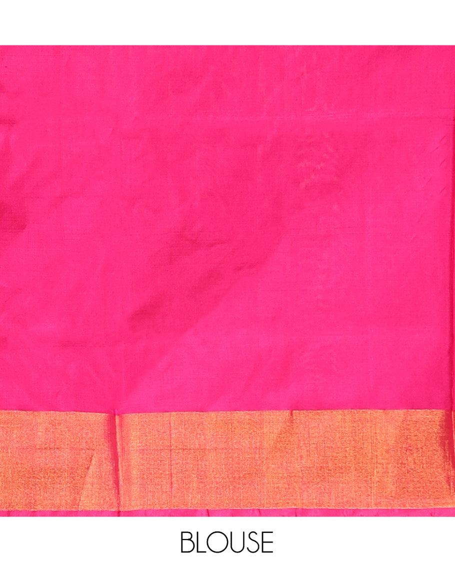 Blue Plain Uppada Silk Saree, Complemented by a Contrast Border, Contrast Zari Pallu, and a Contrast Blouse