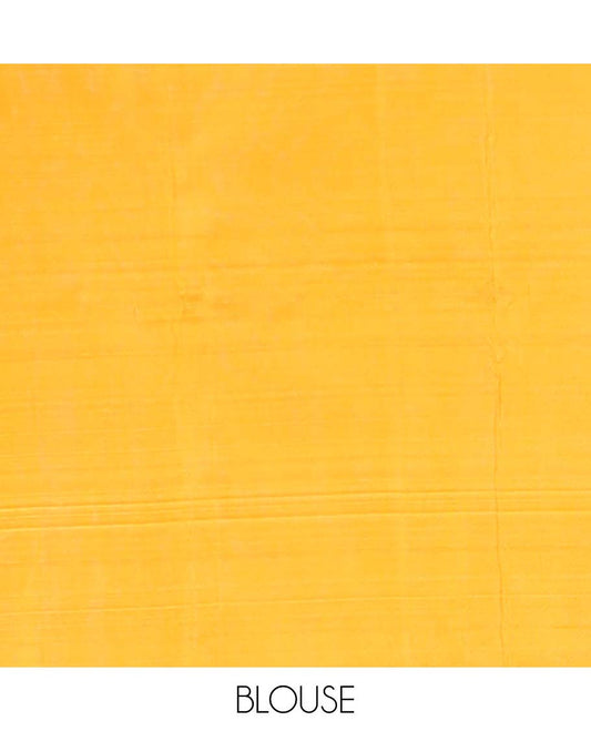 Orange  temple motifs banana pith saree with contrast plain border & striped zari , temple motifs pallu