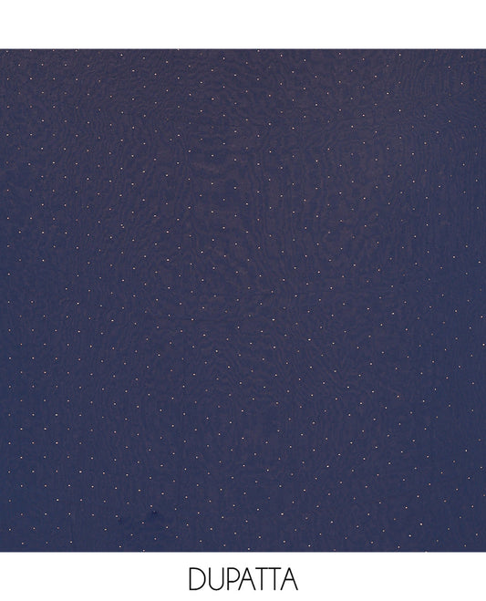 Blue Material Churidar Set, Swarovski Stone Work Fox Georgette Top, Comes with a Plain Santoon Bottom, and a Scallop Swarovski Stone Work Fox Georgette Dupatta