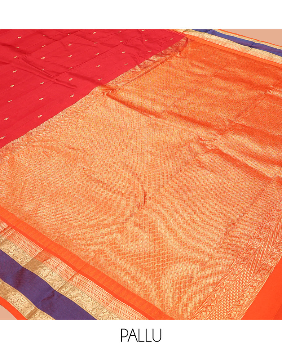 Tomato Red Buttas Vasundhara Lite Silk Mix Saree, Contrast Rettai Pettu Border, Jaal Pallu, Contrast Blouse