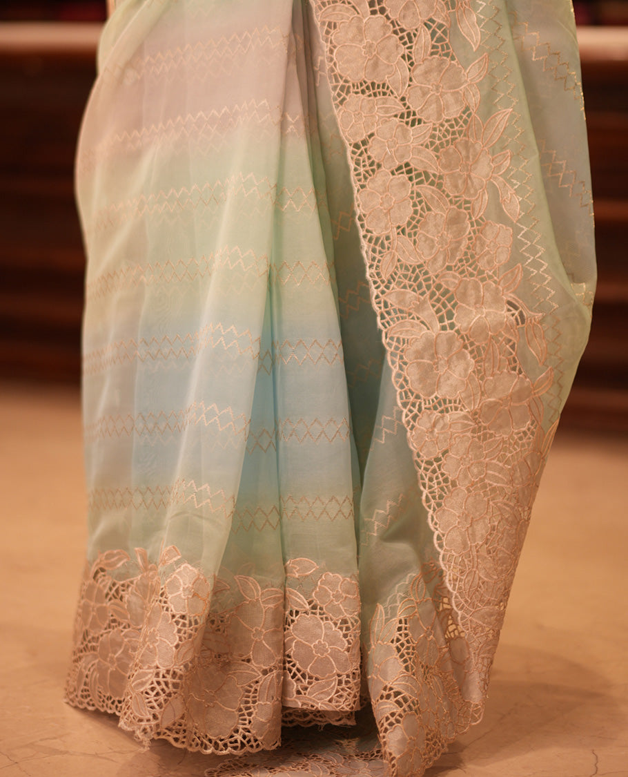 Sky Blue Turkey Organza Saree