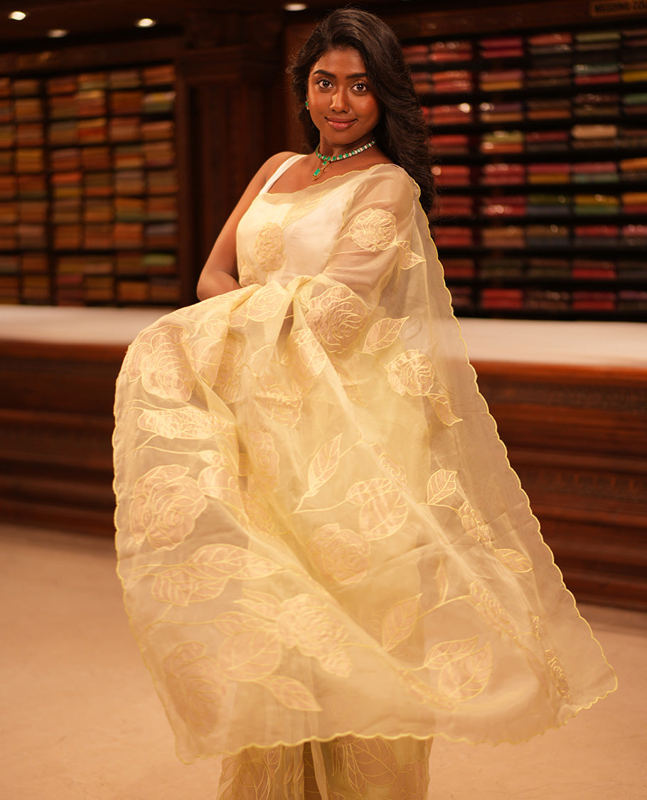 Mint Green Organza Saree