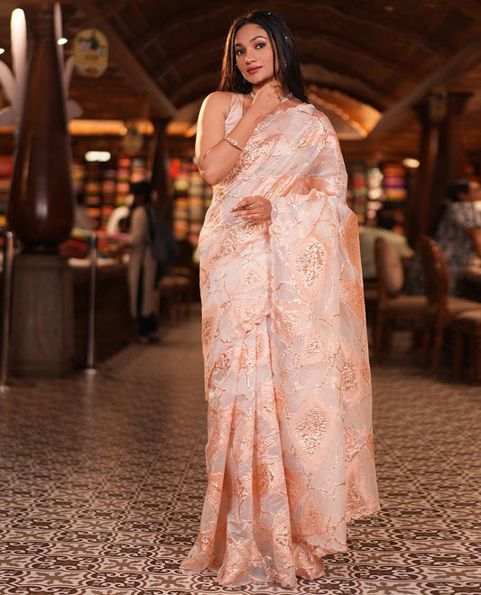 Peach Turkey Organza Saree Features Geometric Glitterwork, Scallop Beadwork Border, Embroidered Blouse