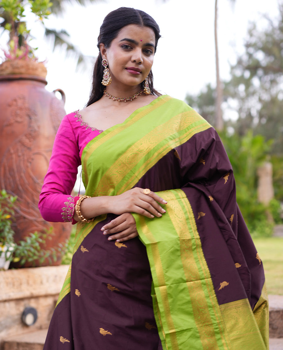 Coffee Brown Parrot Motif Brown Budget Silk Saree, a Contrast Varisai Pettu Border, and a Contrast Blouse
