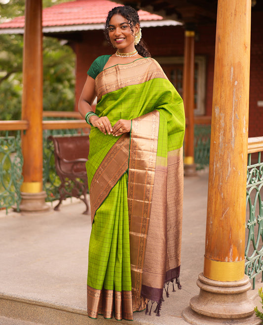Ally Green Vasundhara Silk Saree