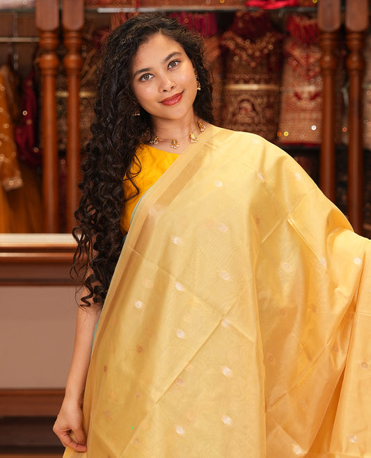 Gold Buttas Fancy Organza Silk Saree, a Zari Border, Paithani Floral-Bird Pallu, a Matching Blouse