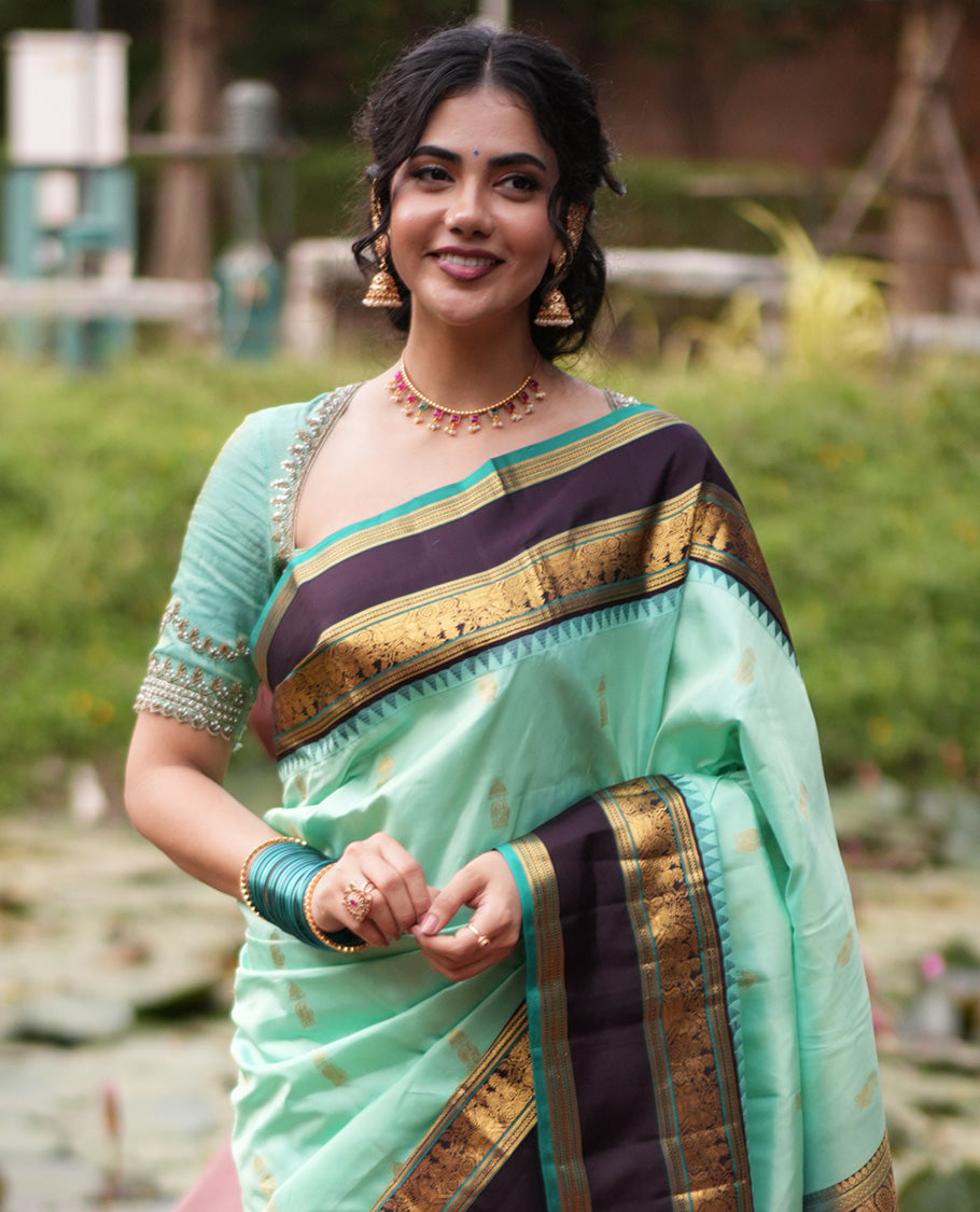 Rexsona Green and Navapalam Vasundhara Silk Saree