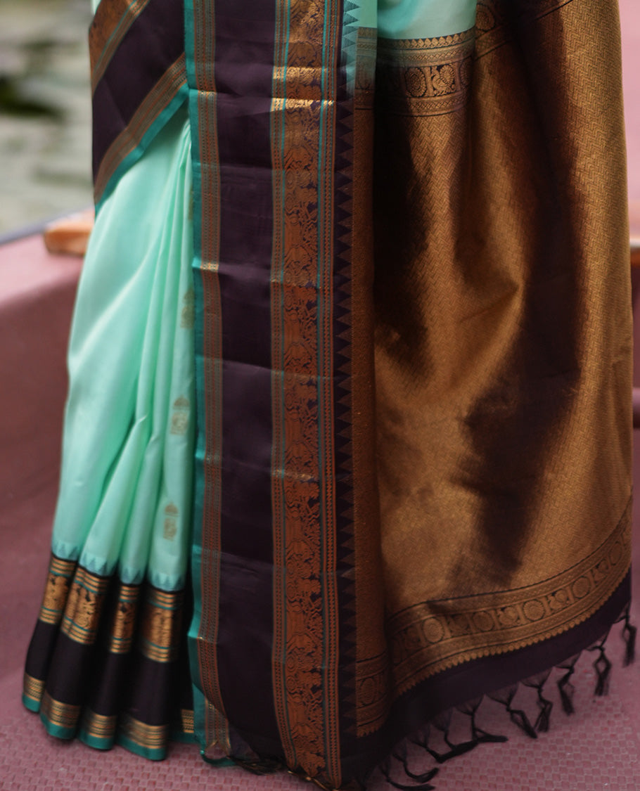 Rexsona Green and Navapalam Vasundhara Silk Saree