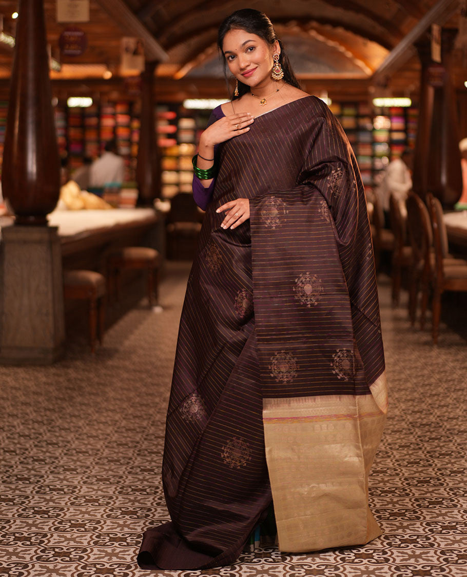 Borderless Brown-Pista Green Mayuri Lite Silk Mix Saree