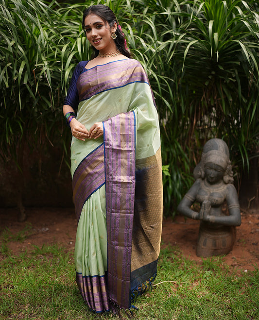 Pista Green-Blue-Pink Vasundhara Lite Silk Mix Saree