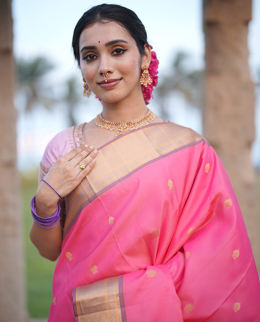 Pink-Light Chocolate Vasundhara Lite Silk Mix Saree