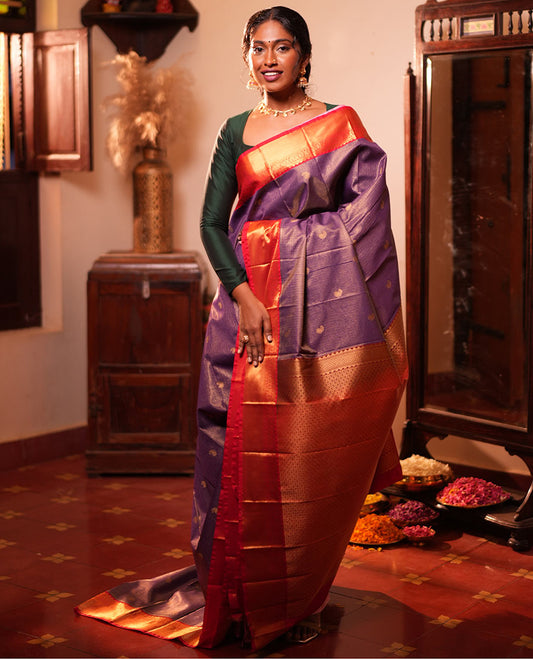 Blue Checked Budget Silk Saree, Contrast Traditional Border, Jaal Pallu, Contrast Blouse