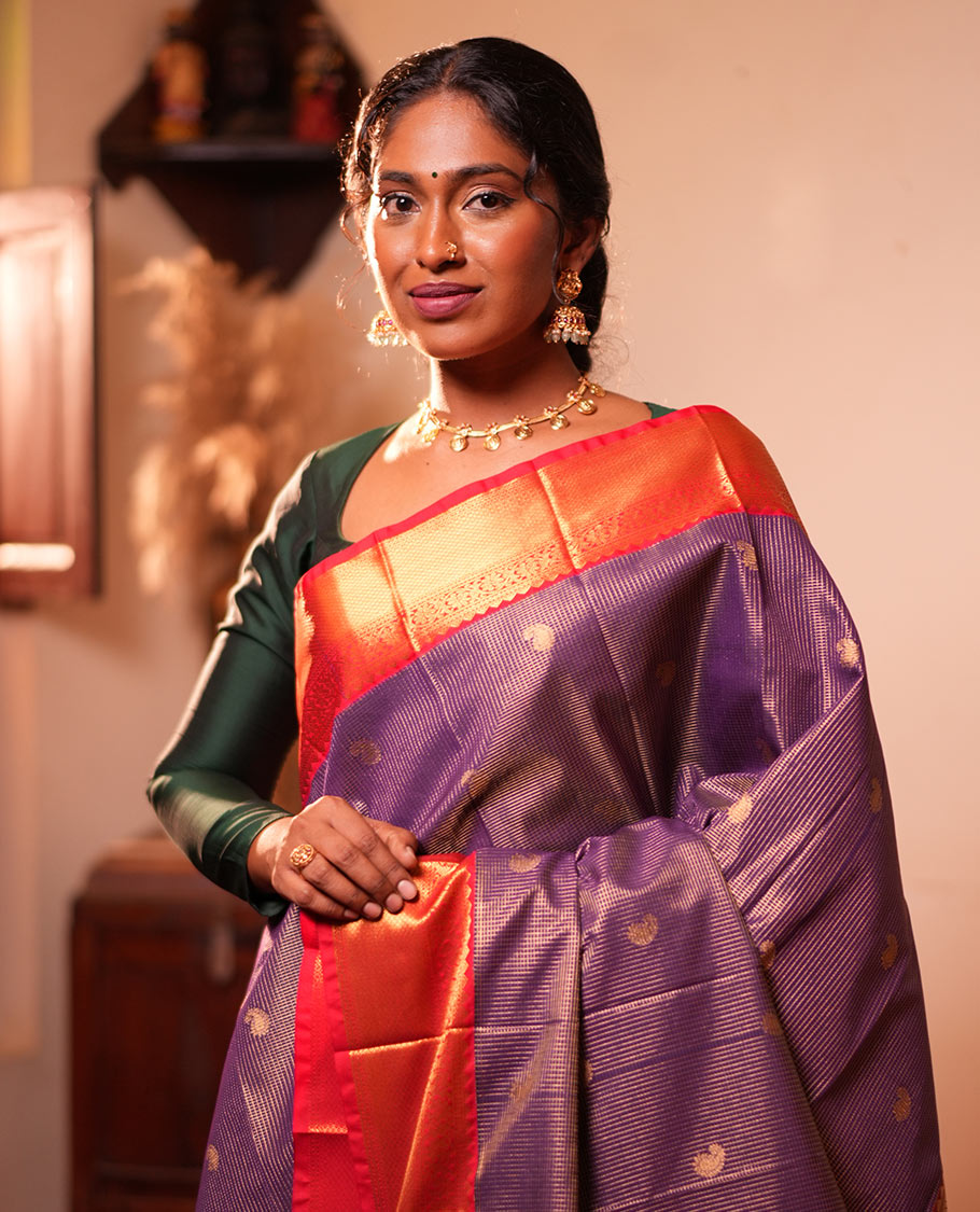 Blue Checked Budget Silk Saree, Contrast Traditional Border, Jaal Pallu, Contrast Blouse