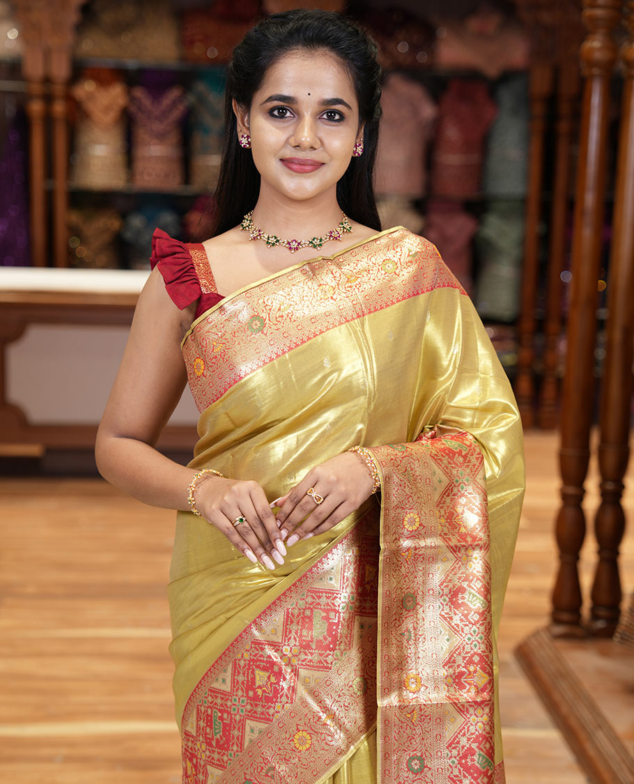 Mustard zari buttas tissue silk saree, contrast border of patola design and traditional motifs, jaal pallu, and a matching blouse