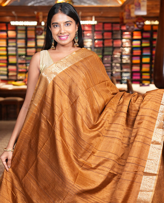 Golden Brown Fancy Tussar Saree, Floral-Paisley Border, Grand Pallu, a Contrast Printed Blouse, Matching Brocade Blouse