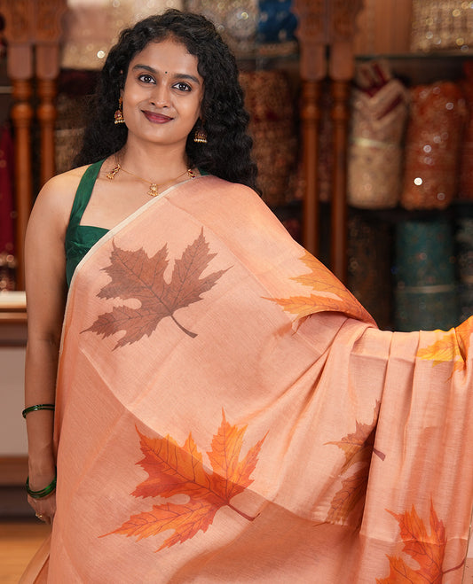 Borderless Pink Tissue Cotton Saree