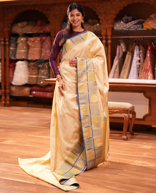 Blue Peacock Motif Saree
