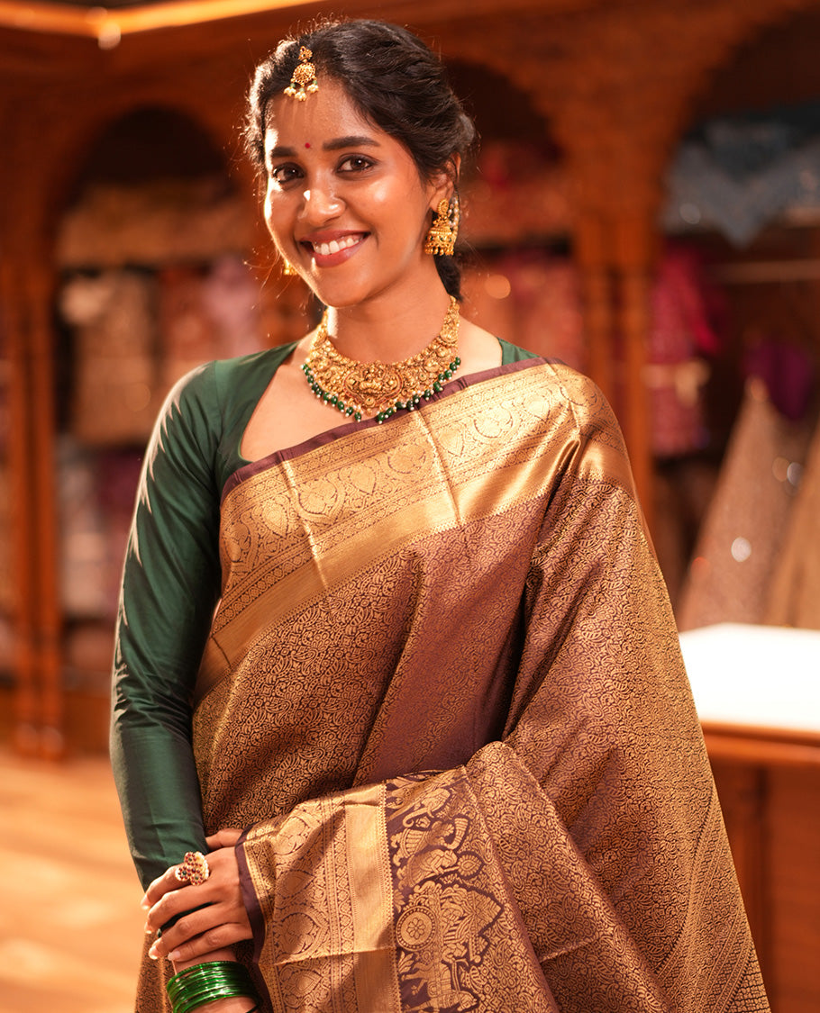 Brown Saree