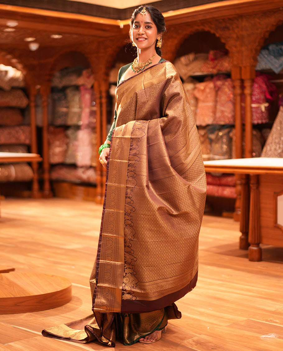 Brown Saree