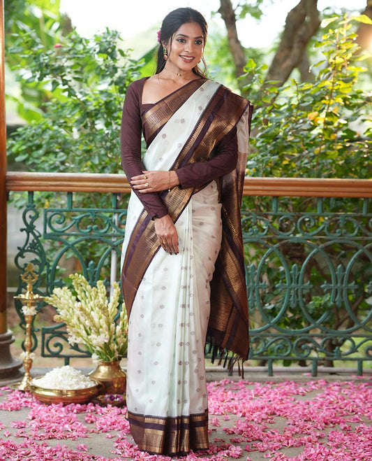 Pista Green-Brown Vasundhara Lite Silk Mix Saree