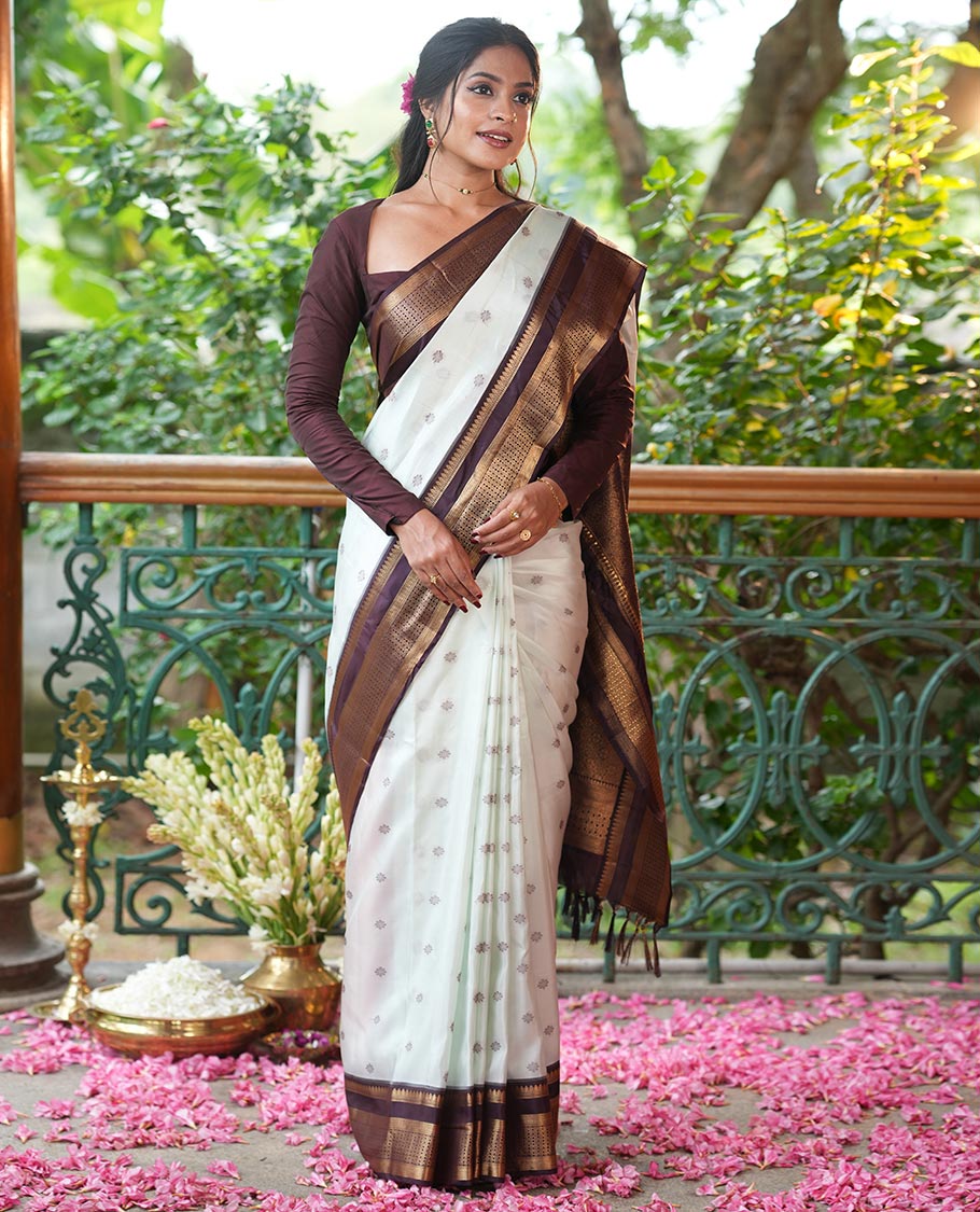 Pista Green-Brown Vasundhara Lite Silk Mix Saree