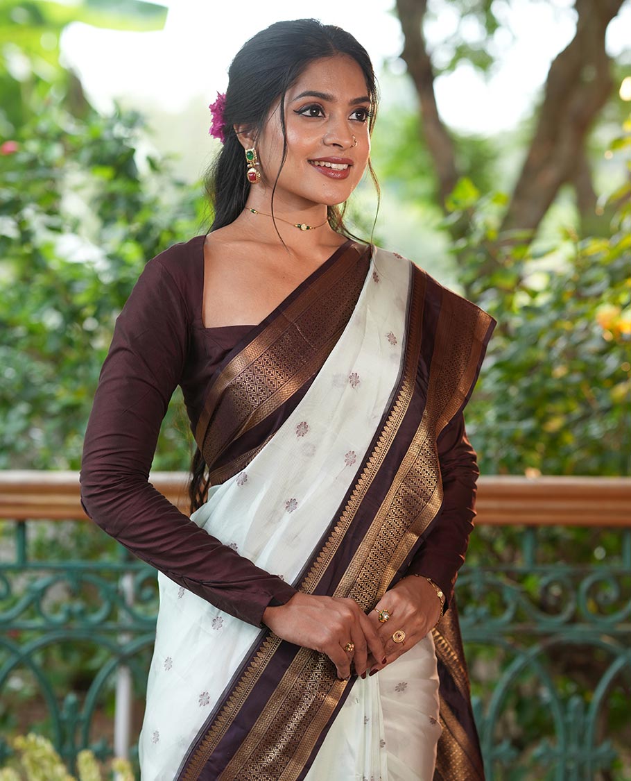 Pista Green-Brown Vasundhara Lite Silk Mix Saree