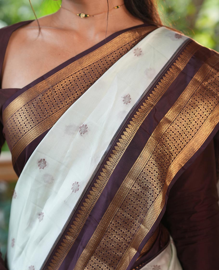 Pista Green-Brown Vasundhara Lite Silk Mix Saree