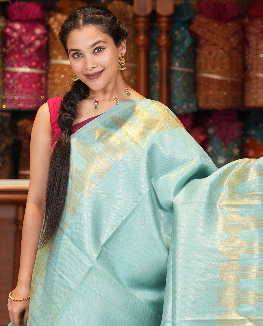 Sky Blue Jacquard Litchi Saree