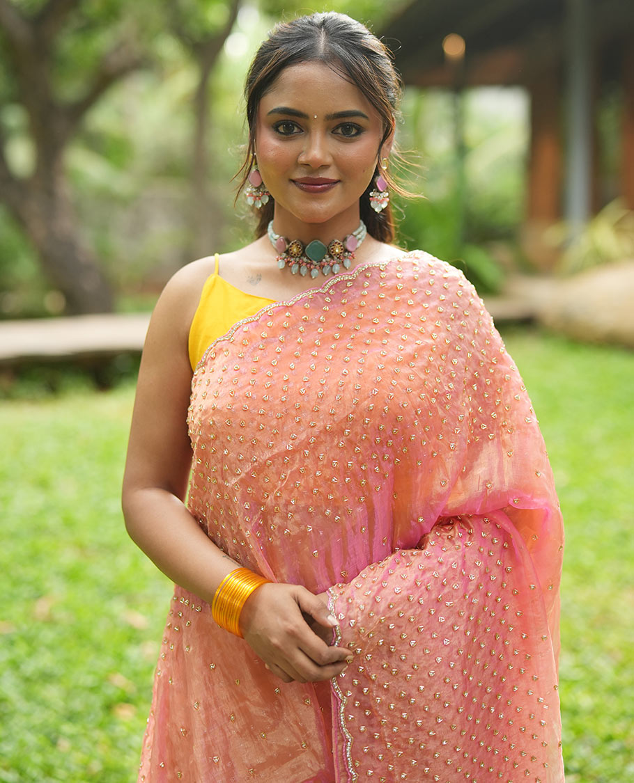 Pink Organza Glass Tissue Saree With Stonework, a Scallop Border, and a Matching Blouse