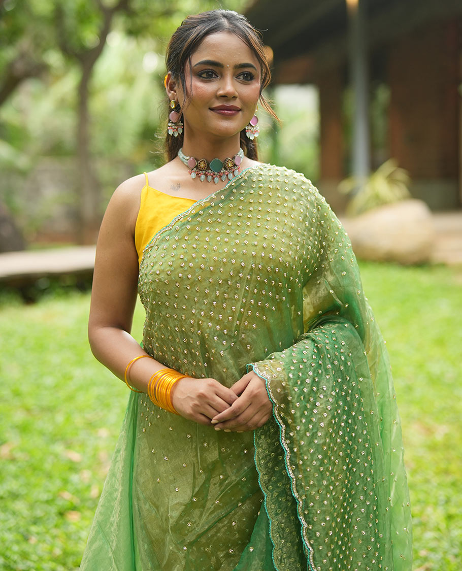 Leaf Green Organza Glass Tissue Designer Saree With Stonework, a Scallop Border, and a Matching Blouse