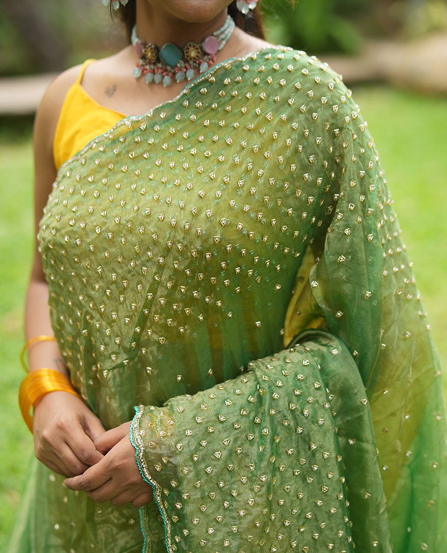 Leaf Green Organza Glass Tissue Designer Saree With Stonework, a Scallop Border, and a Matching Blouse