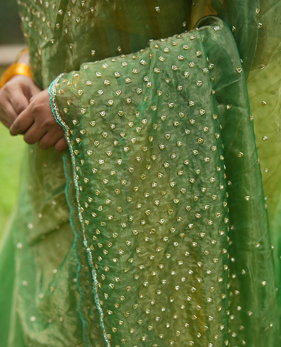Leaf Green Organza Glass Tissue Designer Saree With Stonework, a Scallop Border, and a Matching Blouse