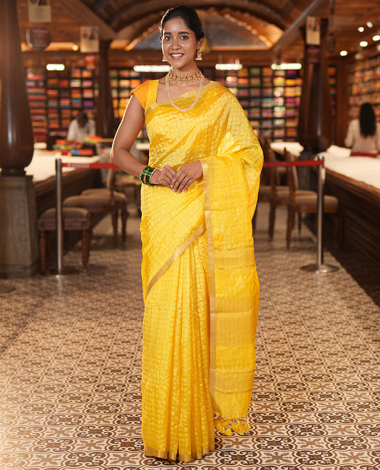 Yellow-Checked Banana Pith Saree, a Zari Piping Border, Striped Pallu, a Matching Blouse