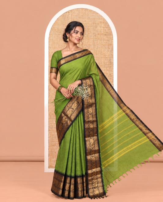 Green Plain Chettinad Cotton Saree, a Contrast Temple Elephant-Peacock Zari Border, Striped Pallu, and a Matching Blouse