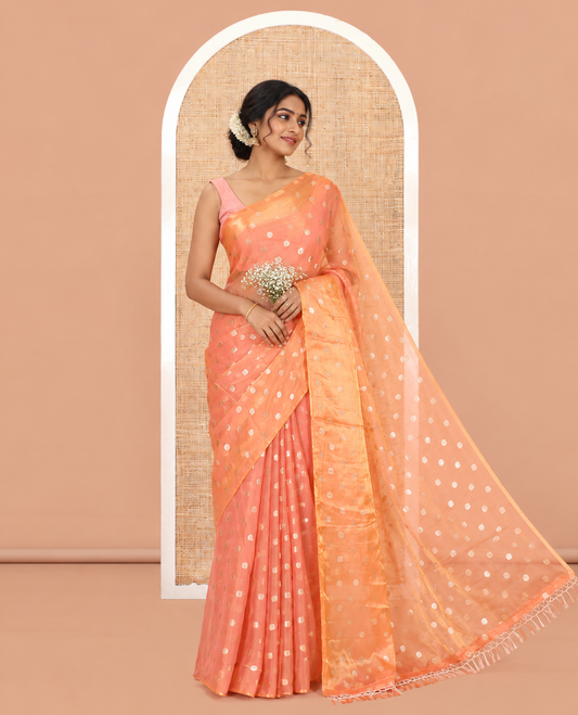 Borderless Dusky Pink Fendy Chiffon Saree